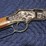 henry-model-h004se2-etched-eagle,-.22-s-l-lr-image-3