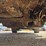 bobcat-toolcat-5600-image-18