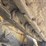 caterpillar-d5c-image-51