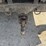 2007-international-durastar-4300-image-23