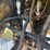 caterpillar-289d3-image-51