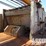 1990-cardwell-d-image-13