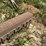 #51899-•-bowman-sickle-mower-inv#51899-image-14