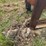 #51950-•-11'-cultivator-inv#51950-image-14