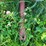 mayrath-10"-x-65'-grain-auger-image-8