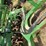john-deere-37-image-53
