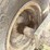 case-ih-496-image-14