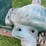 edward’s-engine-image-6