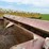 #51922-•-miskin-sp-315-dirt-pan-21115-inv#51922-image-33