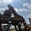 #51901-•-2007-kelly-diamond-45-rice-harrow-806-45r-inv#51901-image-32