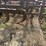#51911-•-30'-chisel-plow-inv#51911-image-37