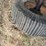 bush-hog-2615-image-11