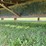 doo-little-gn-trailer-102x36-image-22
