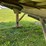 2000-wilson-patriot-belt-trailer-image-56