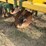 #51910-•-roll-a-cone-12-row-38"-spacing-hipper-10-3218-inv#51910-image-56