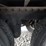 2016-stoughton-van-image-10