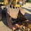 caterpillar-215-image-3