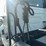 2016-international-prostar-semi-image-26