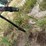 dmi-tiger-image-44