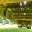 doo-little-gn-trailer-102x36-image-32