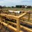 #51943-•-9pt-poly-pipe-roller-230412-inv#51943-image-8