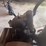 cushman-model-c-engine-image-7