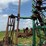 great-plains-3000tt-image-66