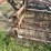 #51911-•-30'-chisel-plow-inv#51911-image-29