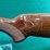 american-arms-mdl.silver-ii-12ga-o/u-shotgun-image-13