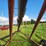 mayrath-10"-x-65'-grain-auger-image-17