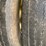 2000-wilson-patriot-belt-trailer-image-65