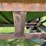 name-image-12