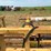 #51943-•-9pt-poly-pipe-roller-230412-inv#51943-image-9