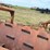 #51936-•-10'-stubble-roller-inv#51936-image-6