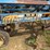 dmi-tiger-image-58