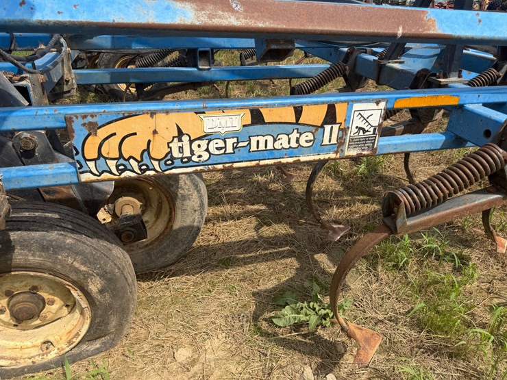 dmi-tiger-image-58
