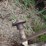 #51950-•-11'-cultivator-inv#51950-image-25