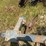 #51900-•-bowman-water-furrow-plow-inv#51900-image-9