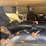 claas-lexion-760-image-12