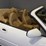#1516-•-1997-jaguar-xk8-convertible-image-30