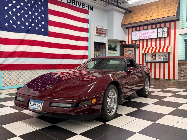 #1873-•-1993-chevrolet-corvette-image-9
