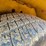 vermeer-1220-image-38