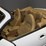 #1516-•-1997-jaguar-xk8-convertible-image-26