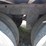 2021-great-dane-plate-van-image-20