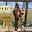mckissick-sgl-sheave-traveling-block-image-1