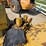 vermeer-1220-image-20