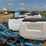 #51909-•-monosem-12-twin-row-38"-center-planter-05a116-inv#51909-image-116