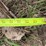 #51950-•-11'-cultivator-inv#51950-image-2