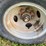 doo-little-gn-trailer-102x36-image-35