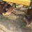 #51910-•-roll-a-cone-12-row-38"-spacing-hipper-10-3218-inv#51910-image-55
